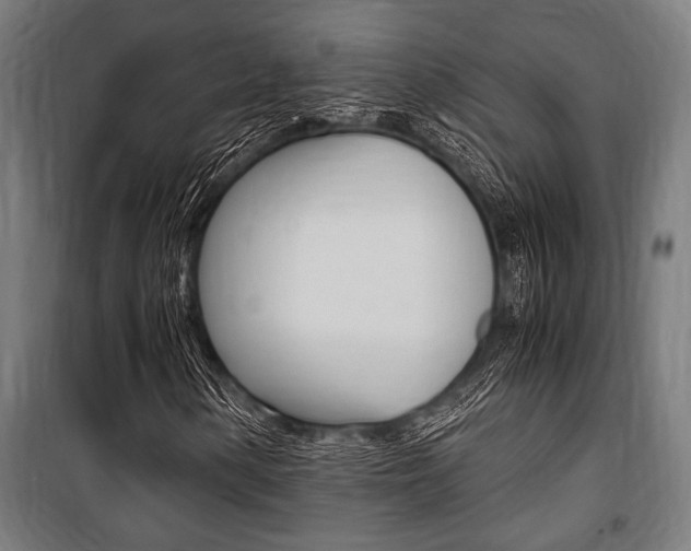 X0000100861154200806200831