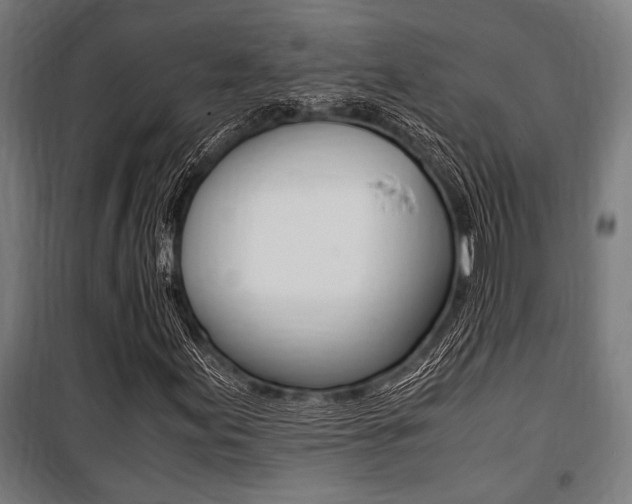 X0000100861155200806200831
