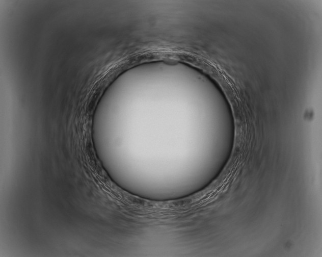 X0000100861157200806200831