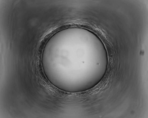 X0000100861159200806200831