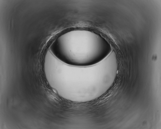 X0000100861160200806200831