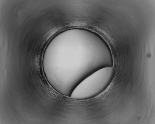 X0000100861162200806200831