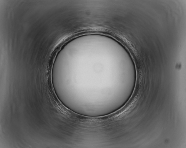 X0000100861163200806200831