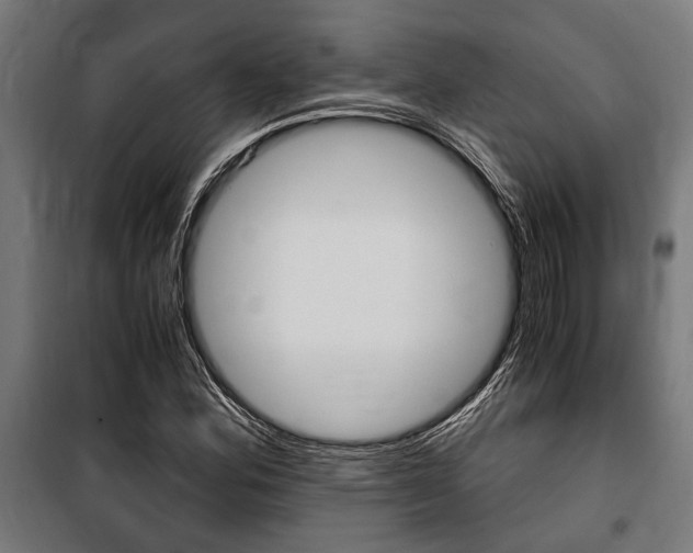 X0000100861164200806200830