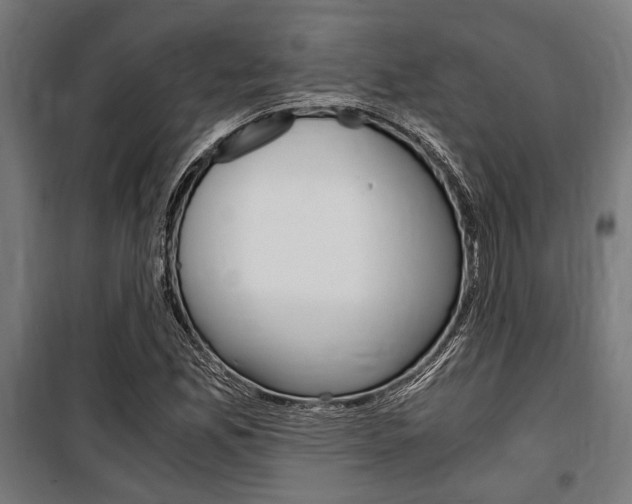 X0000100861165200806200830