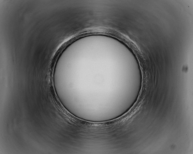 X0000100861166200806200830