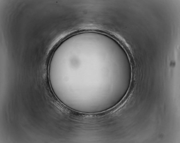 X0000100861167200806200830