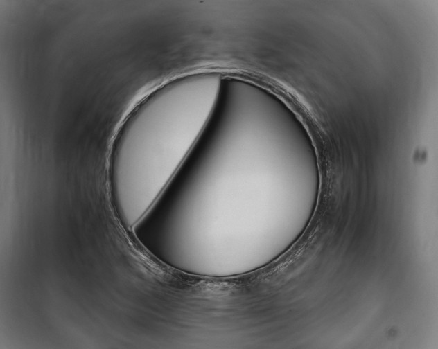 X0000100861168200806200830