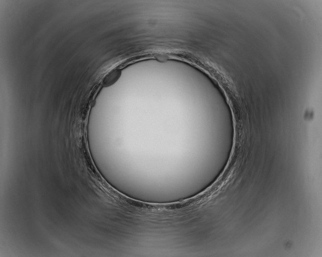 X0000100861169200806200830
