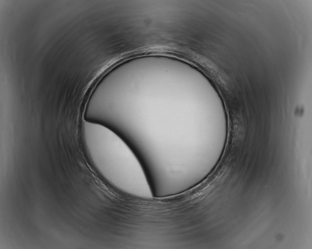 X0000100861170200806200830