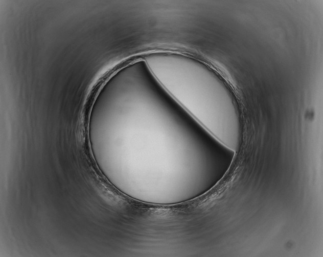 X0000100861172200806200830