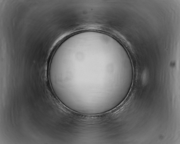 X0000100861174200806200830