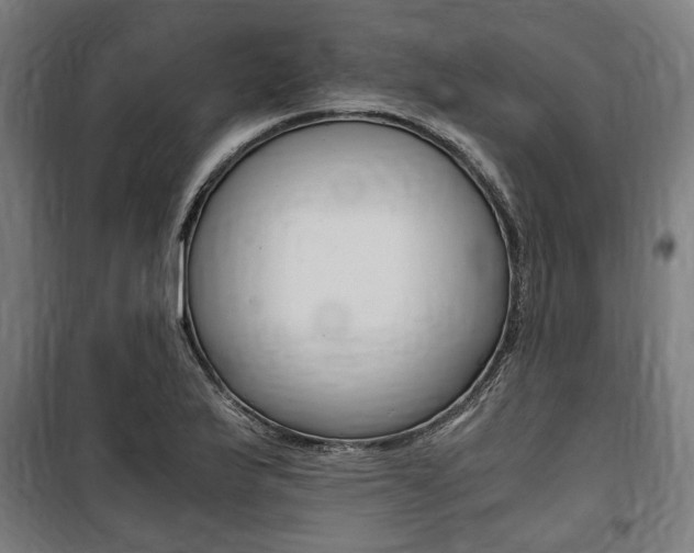 X0000100861175200806200830