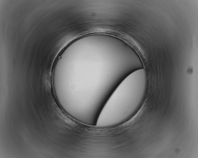X0000100861178200806200830