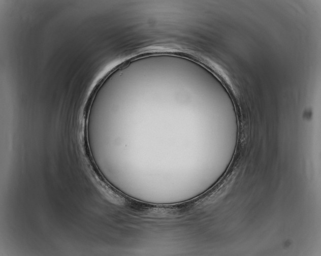 X0000100861179200806200830