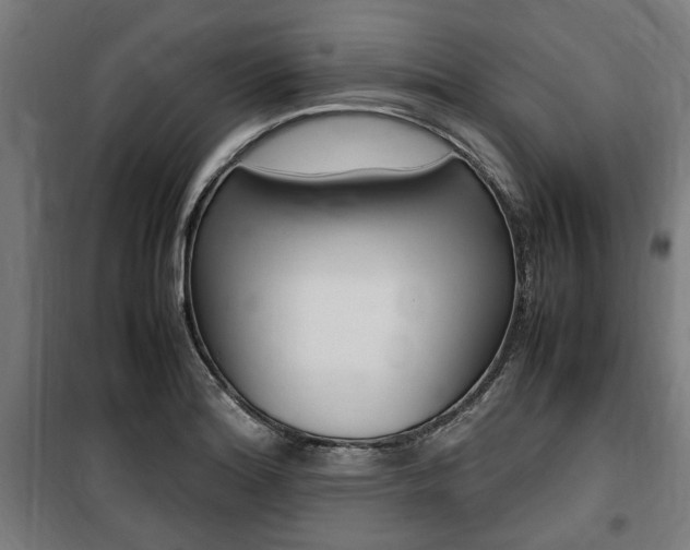 X0000100861180200806200830