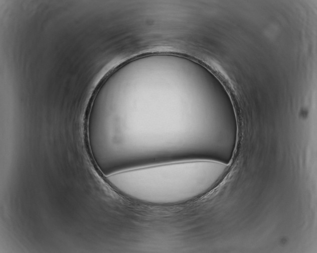 X0000100861181200806200830