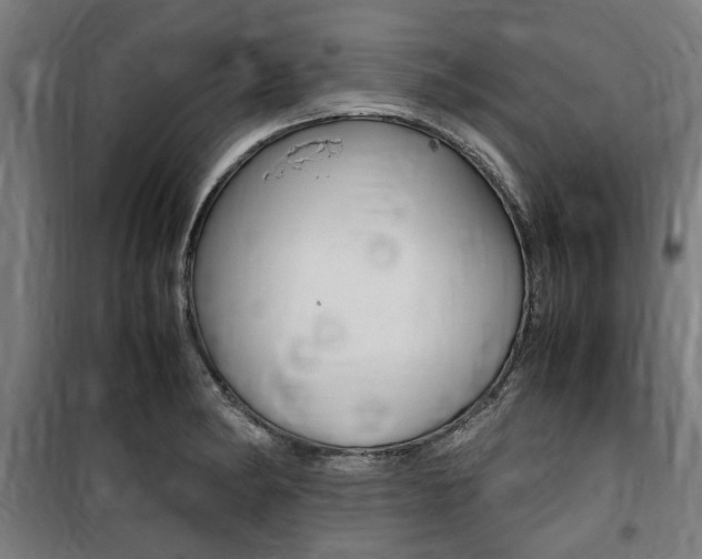 X0000100861182200806200830