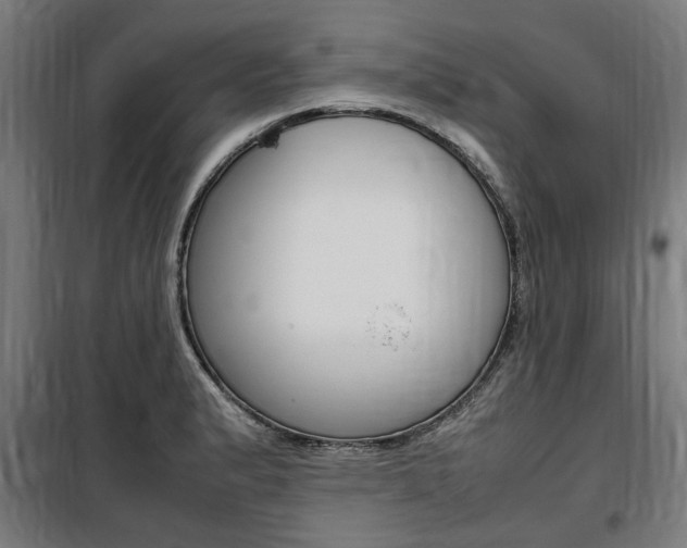 X0000100861183200806200830