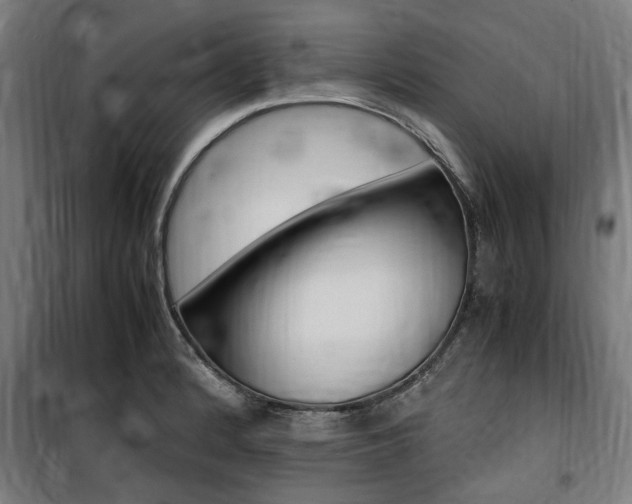 X0000100861184200806200830