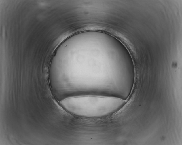 X0000100861185200806200830