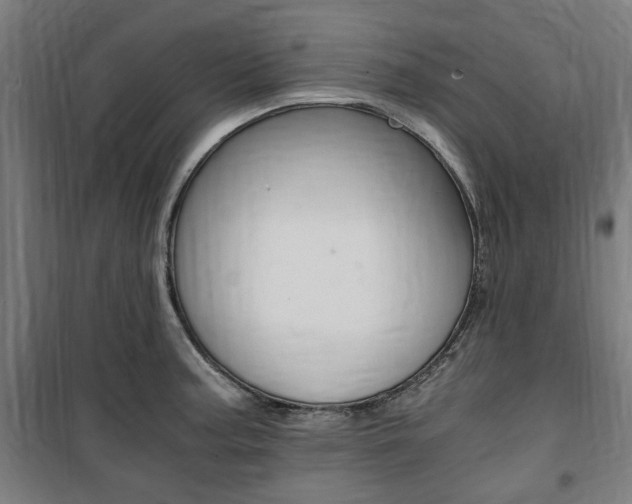X0000100861187200806200830