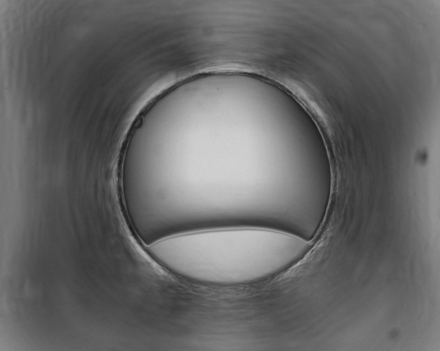 X0000100861189200806200830