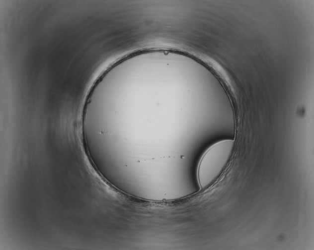 X0000100861191200806200830