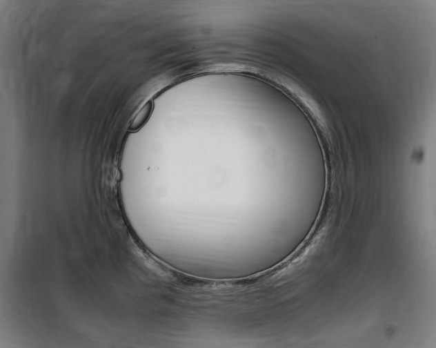 X0000100861193200806200830