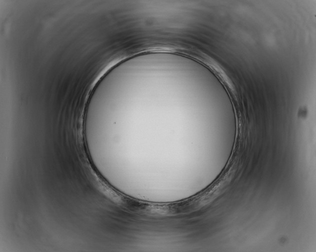 X0000100861194200806200830