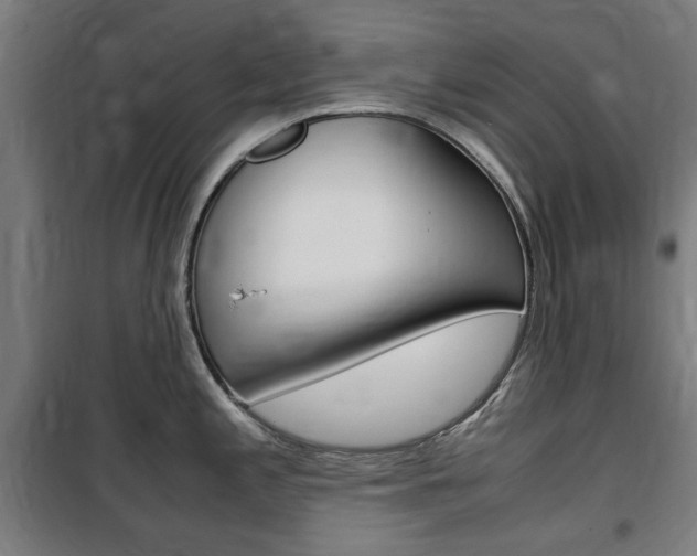 X0000100861197200806200830