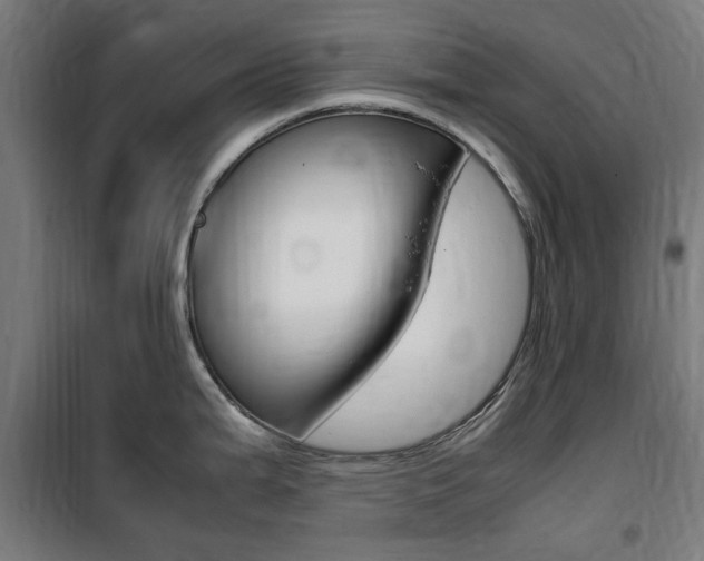 X0000100861199200806200830