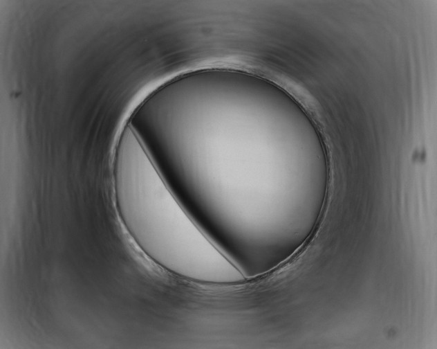 X0000100861200200806200830