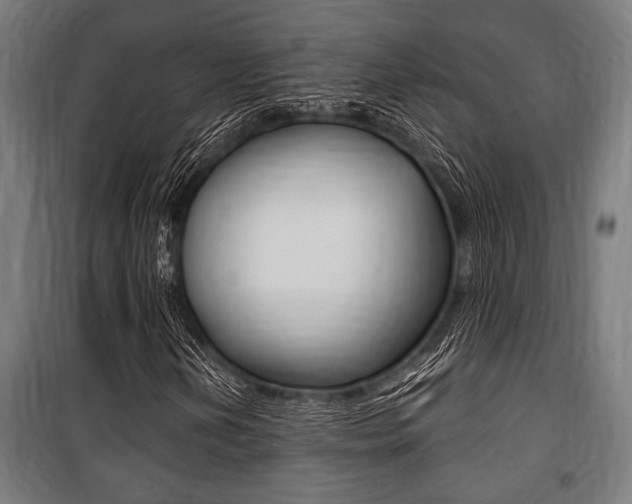 X0000100861202200806200829