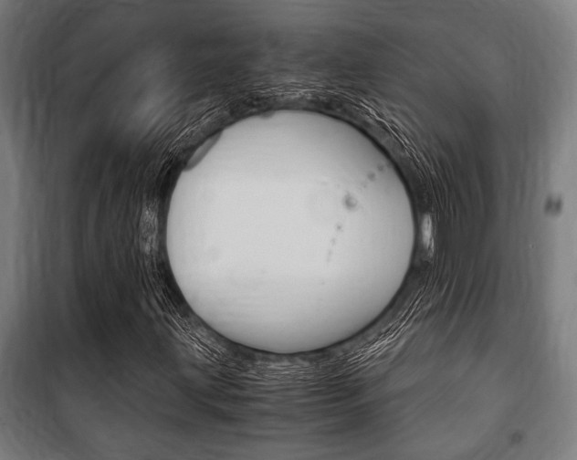 X0000100861203200806200829