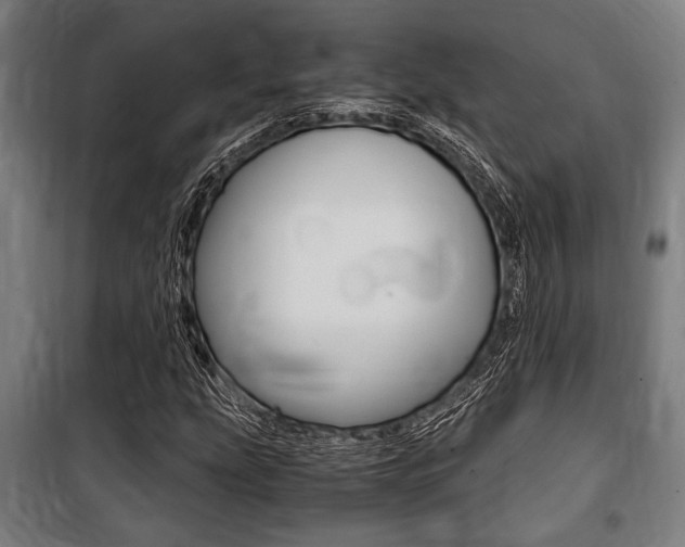 X0000100861207200806200829