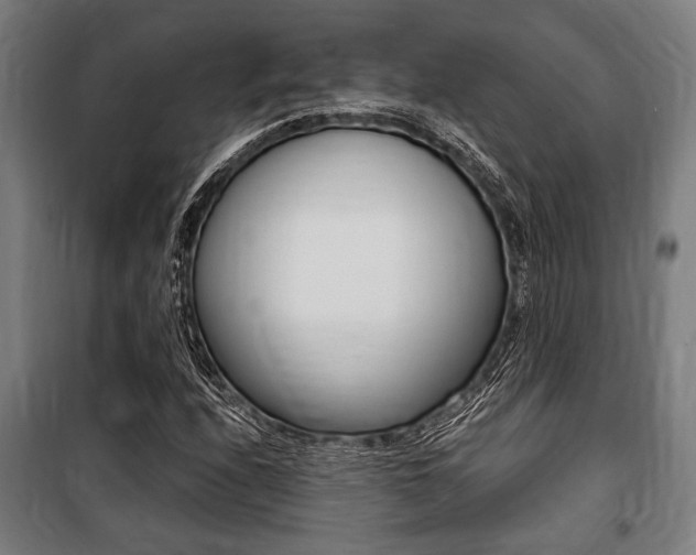 X0000100861208200806200829