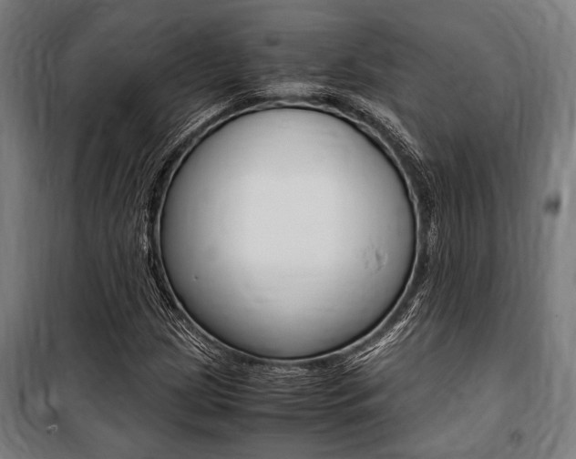 X0000100861209200806200829