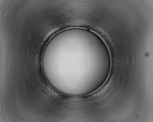 X0000100861210200806200829