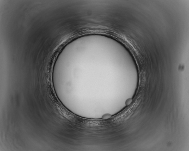 X0000100861211200806200829