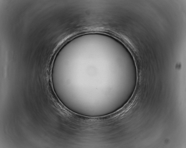 X0000100861212200806200829