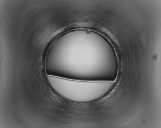 X0000100861213200806200829