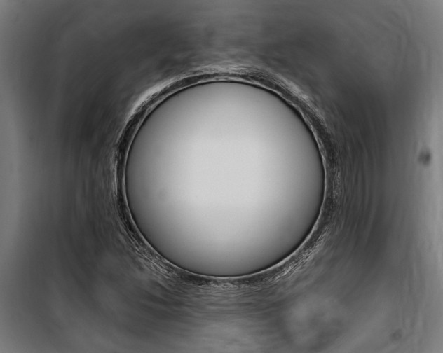 X0000100861214200806200829