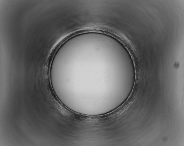 X0000100861216200806200829