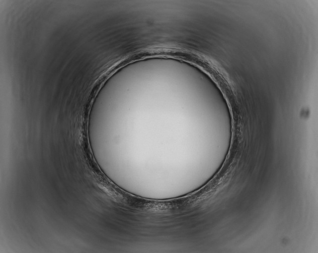 X0000100861217200806200829