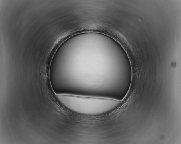 X0000100861218200806200829