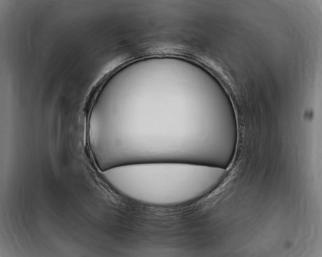 X0000100861219200806200829