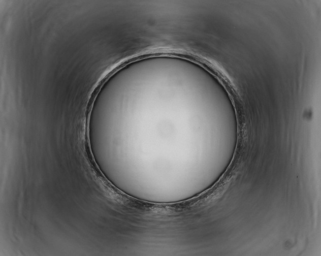 X0000100861220200806200829
