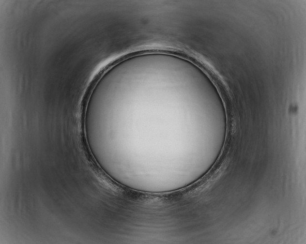 X0000100861222200806200829