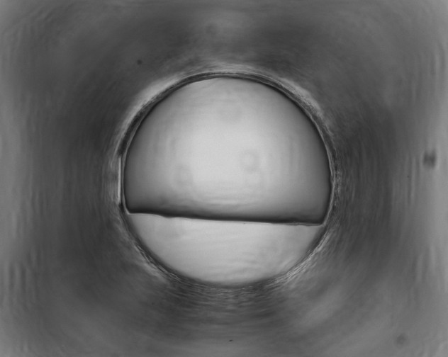 X0000100861223200806200829